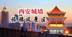 男女射精软件中国陕西-西安城墙旅游风景区
