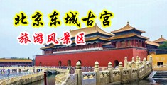 大鸡吧色导航中国北京-东城古宫旅游风景区
